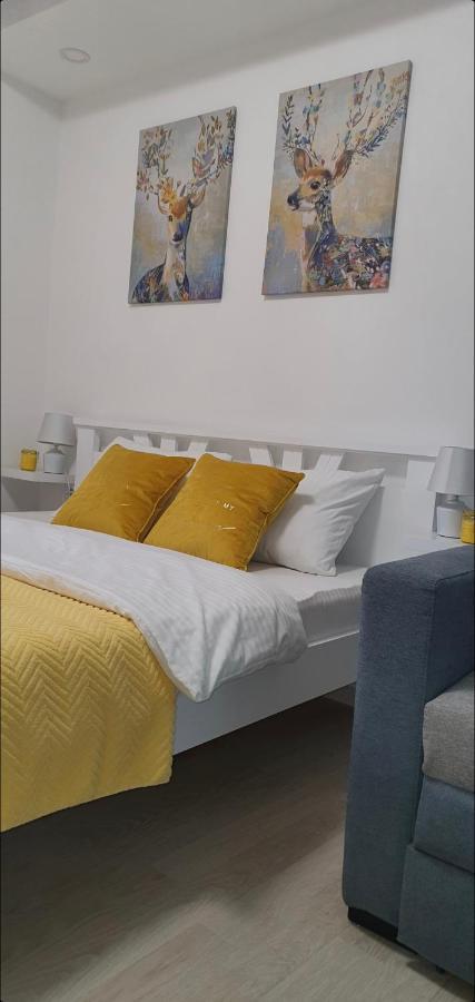 Apartman Iva Nova Varoš Kültér fotó